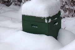 Januar2010-010_neu