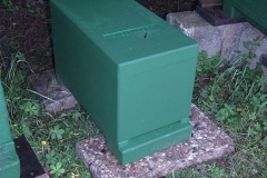 DNM3