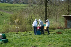 durchsicht-200419-18