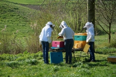 durchsicht-200419-19