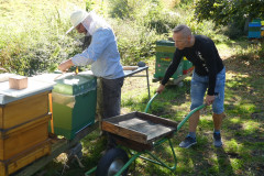jungimker2020-26092020-26