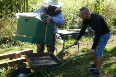 jungimker2020-26092020-27