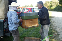 jungimker2020-26092020-30