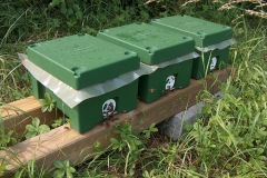 03_Imkerei070607-0061