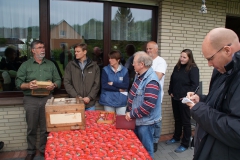 03_KG-Zucht160515-0201