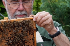 06_KG-Zucht160515-0411