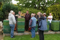 07_KG-Zucht160515-0441