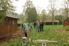 Bienen-10-2014-206_neu